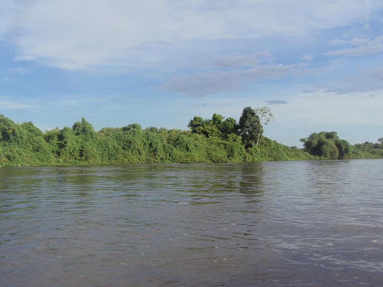 Rio Cuiabá, MT