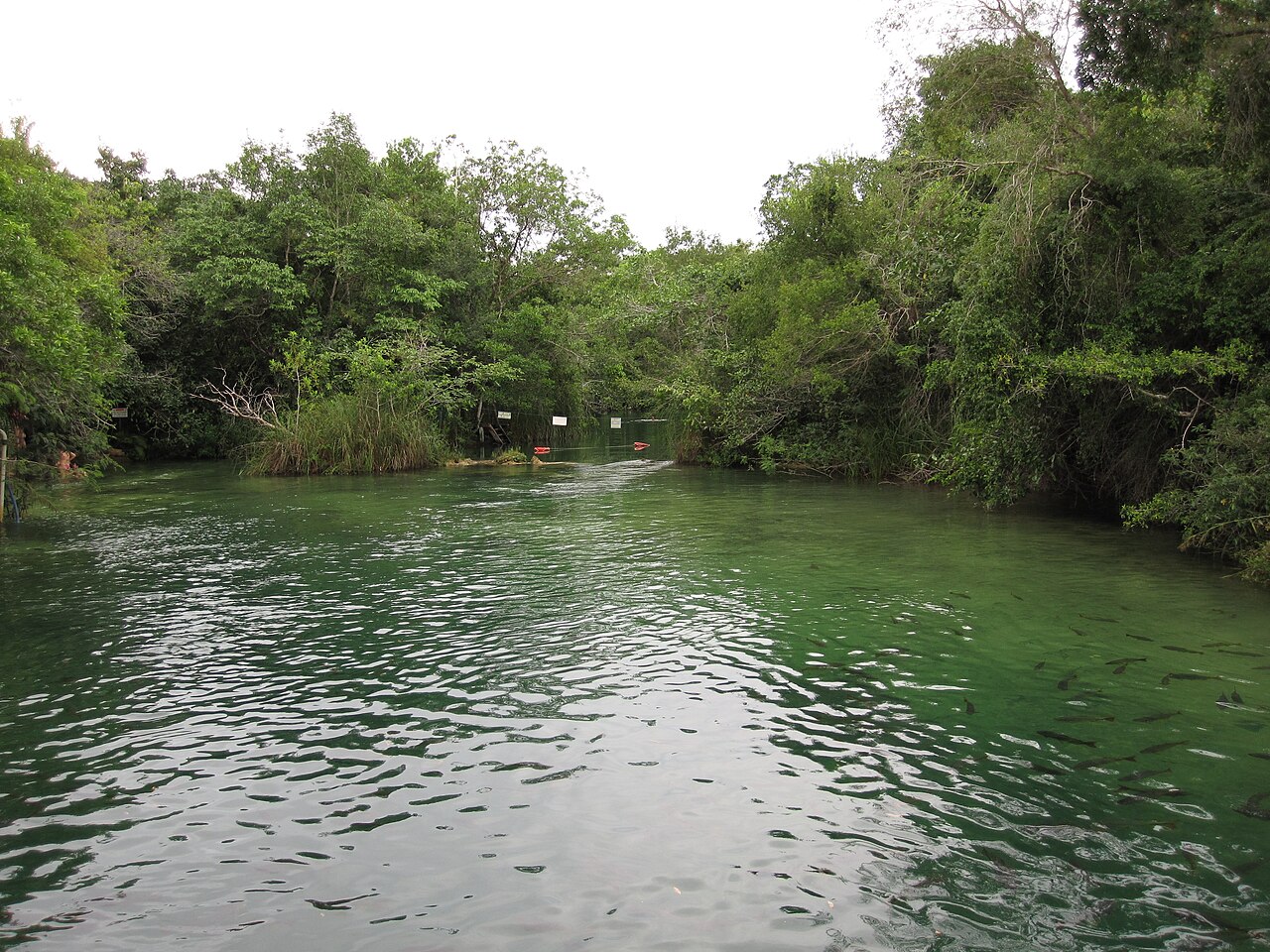 Rio Formoso (Bonito), MS