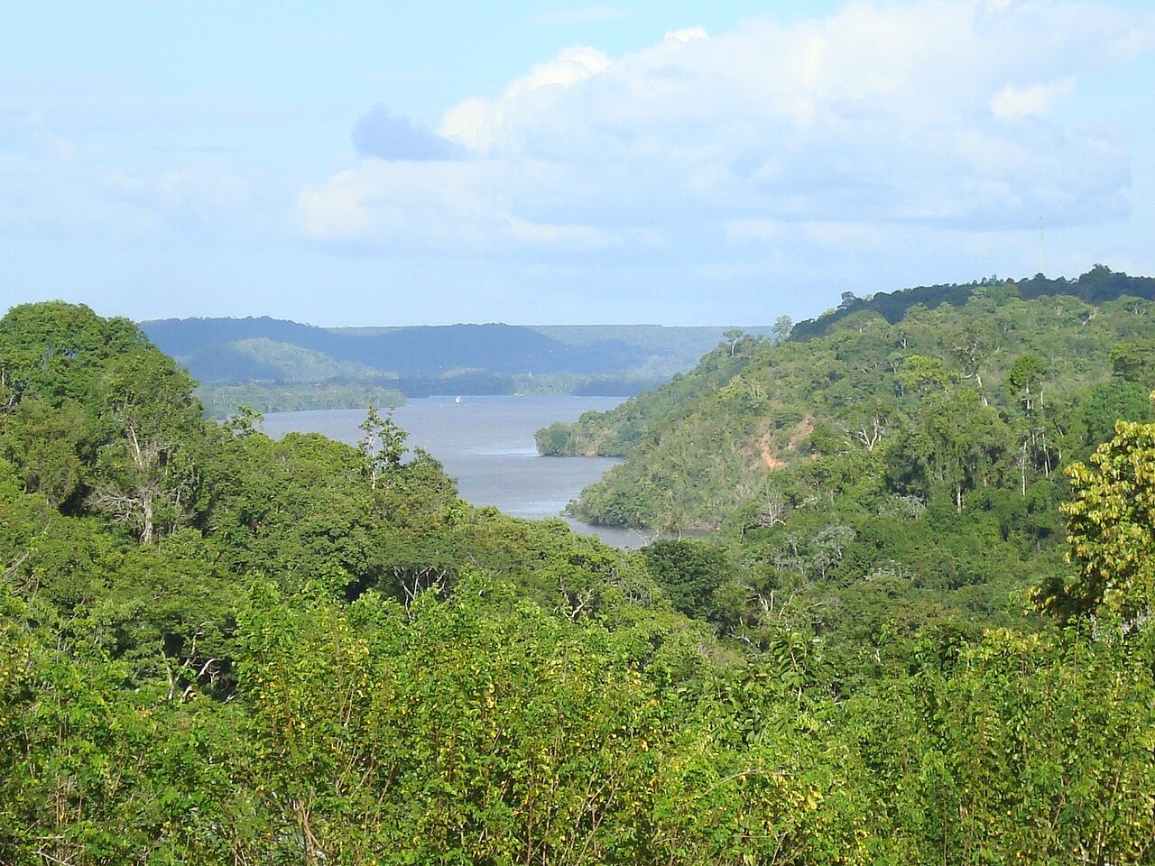 Rio Jari, AP/PA