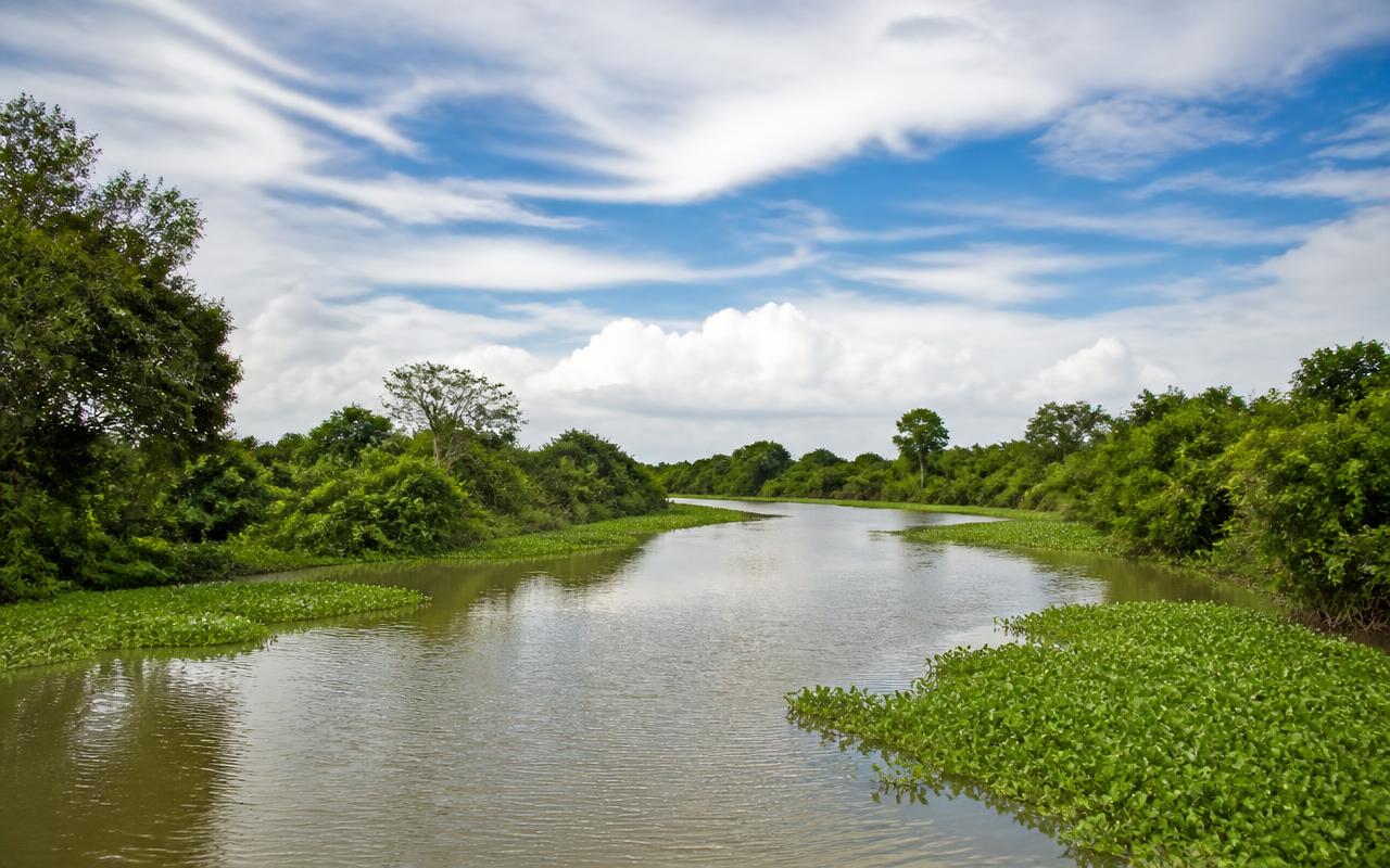 Rio Paraguai, MS/MT