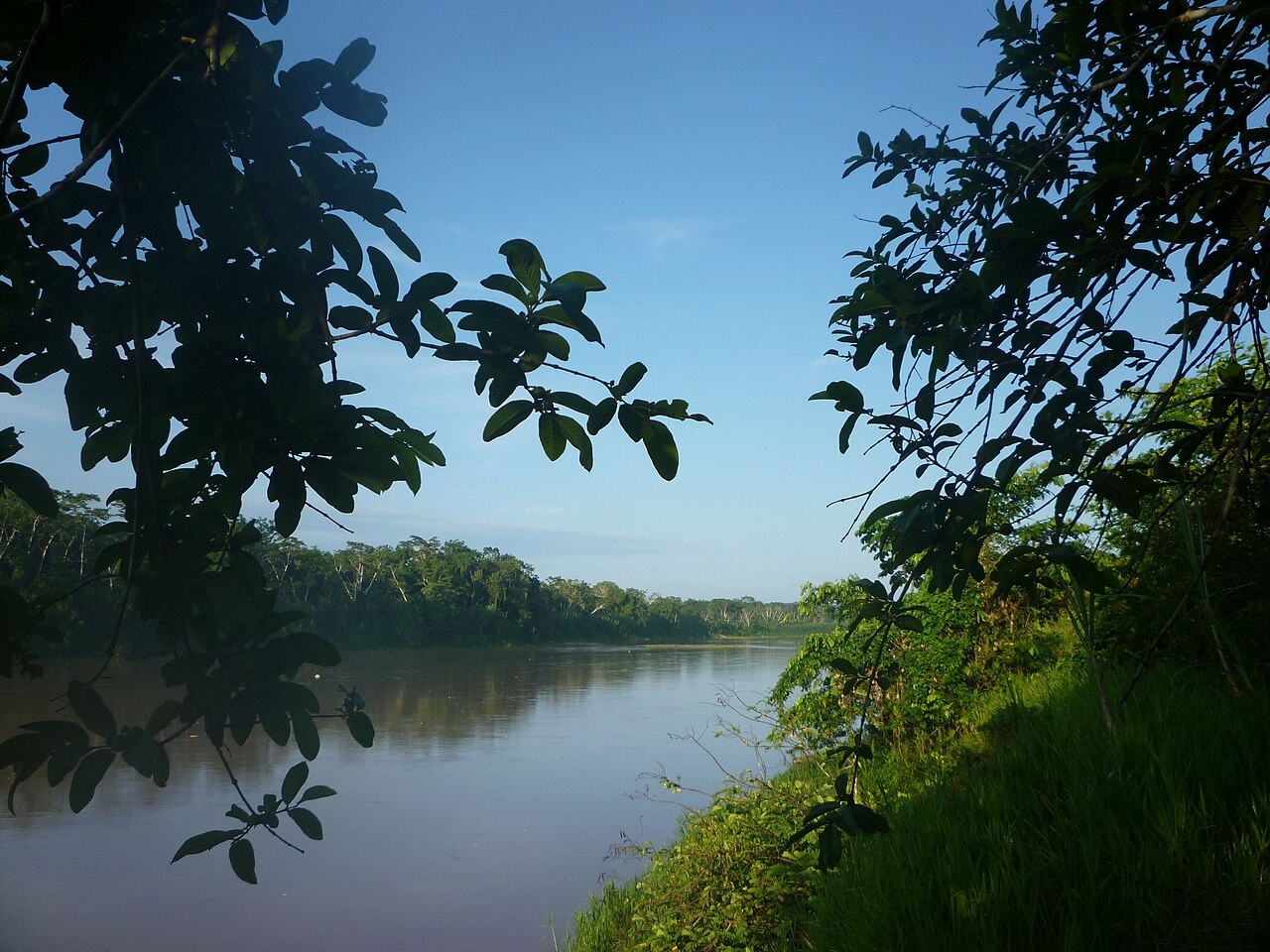 Rio Purus, AC/AM