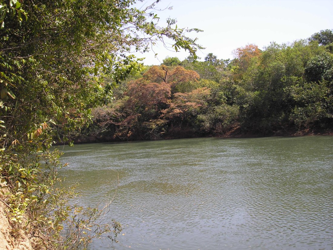 Rio São Marcos, GO/MG
