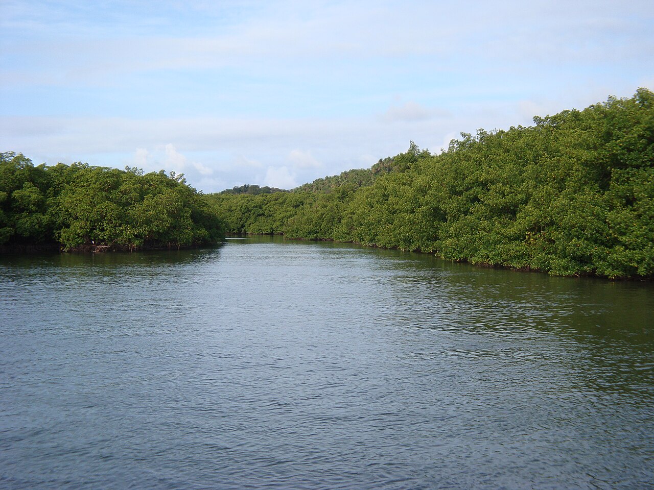 Rio Sirinhaém, PE