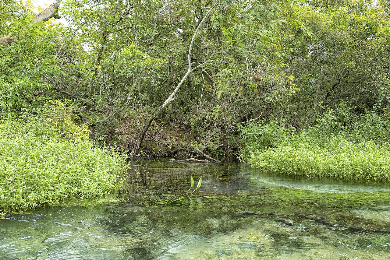 Rio Sucuriú, MS