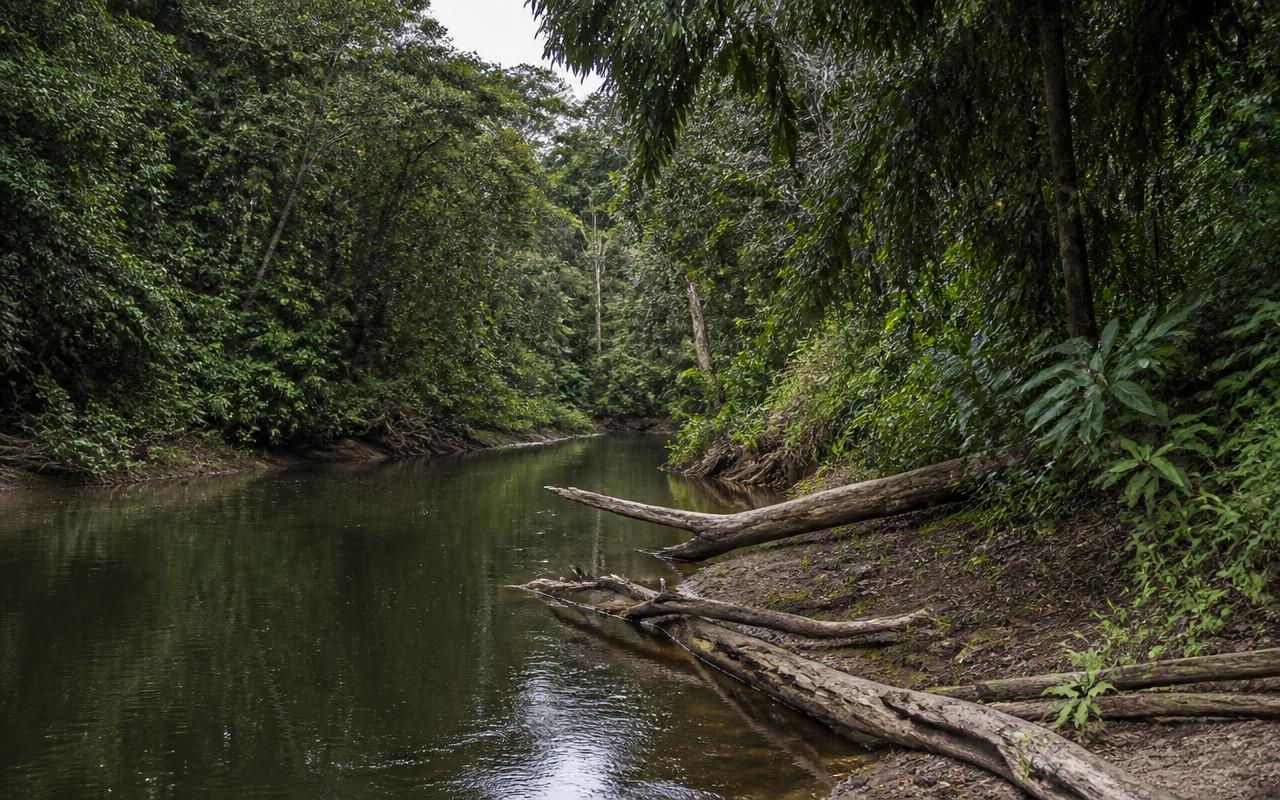 Rio Suiá-Miçu, MT